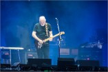 Gilmour 160628 (c) Andreas Mueller 076